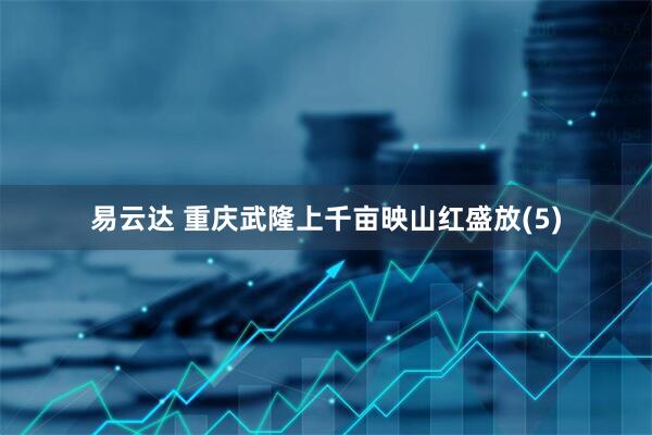 易云达 重庆武隆上千亩映山红盛放(5)